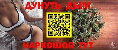 индика Моздок