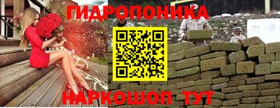 индика Моздок