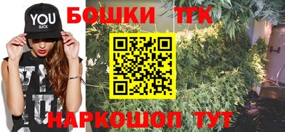 индика Моздок