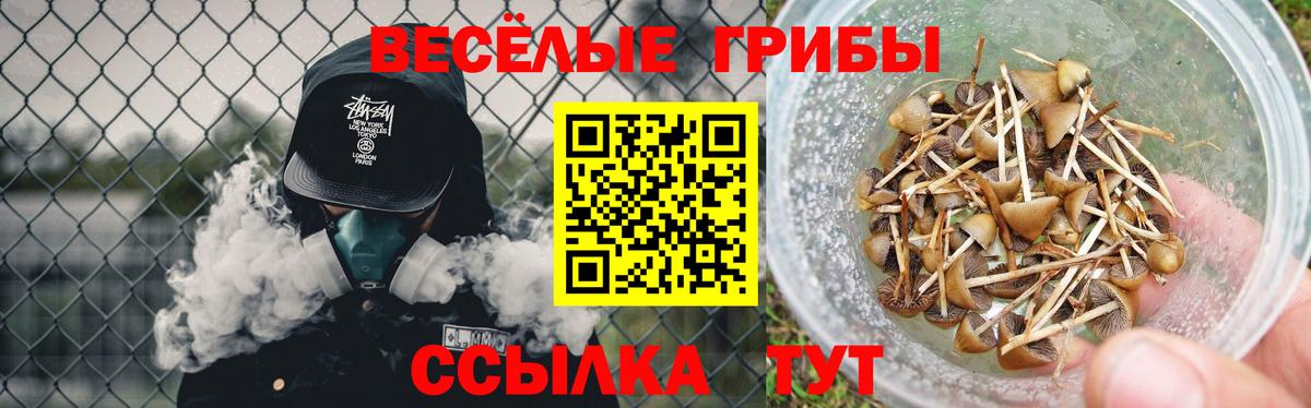 Галлюциногенные грибы GOLDEN TEACHER  Галлюциногенные грибы Cubensis  Электрогорск  Вход с VPN 